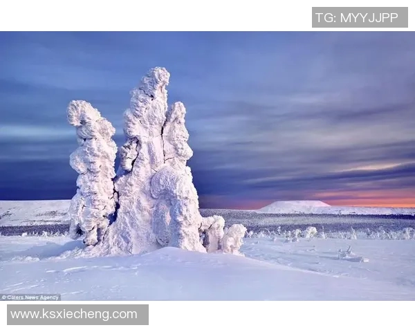 南极足球新星崭露头角 打破极寒环境的运动传奇 南极足球新星崭露头角 打破极寒环境的运动传奇