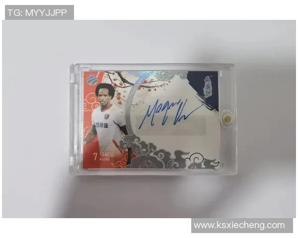 1996年经典足球球星卡收藏价值与时代记忆解析