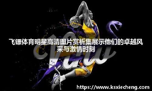 南宫NG·28